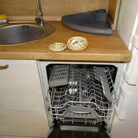 Oni Venus * Kolozsvár