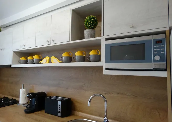 Oni Venus Apartmán Kluž