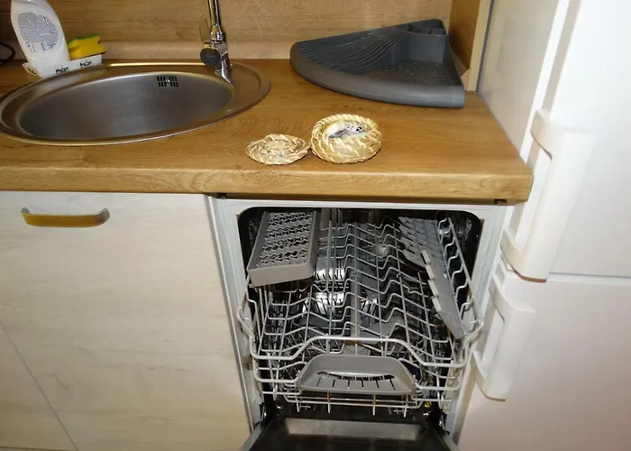 Oni Venus * Cluj-Napoca